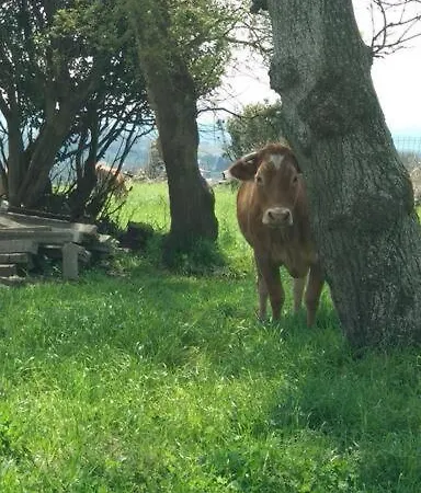 Casa1 Hébergement de vacances